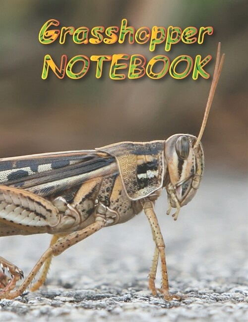 Grasshopper NOTEBOOK: Notebooks and Journals 110 pages (8.5x11) (Paperback)