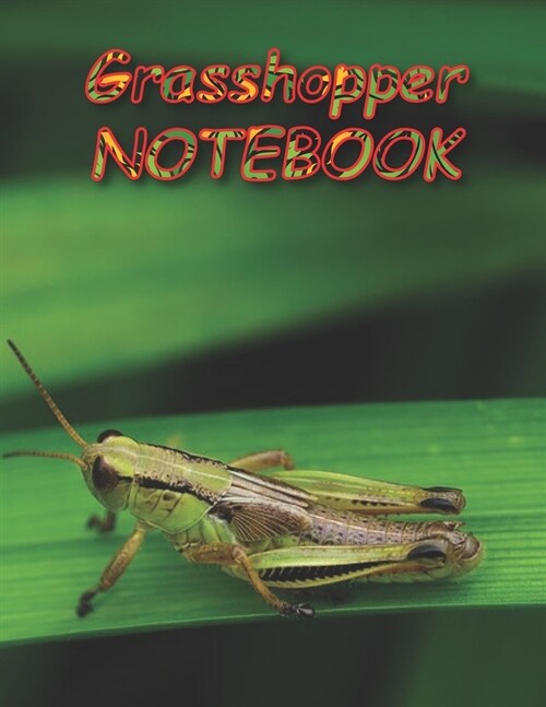 Grasshopper NOTEBOOK: Notebooks and Journals 110 pages (8.5x11) (Paperback)