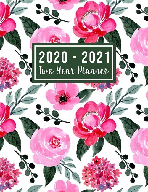 2020-2021 Two Year Planner: 2 year appointment planner 2020-2021 - Monthly Schedule Organizer - Agenda Planner For The Next Two Years, 24 Months C (Paperback)