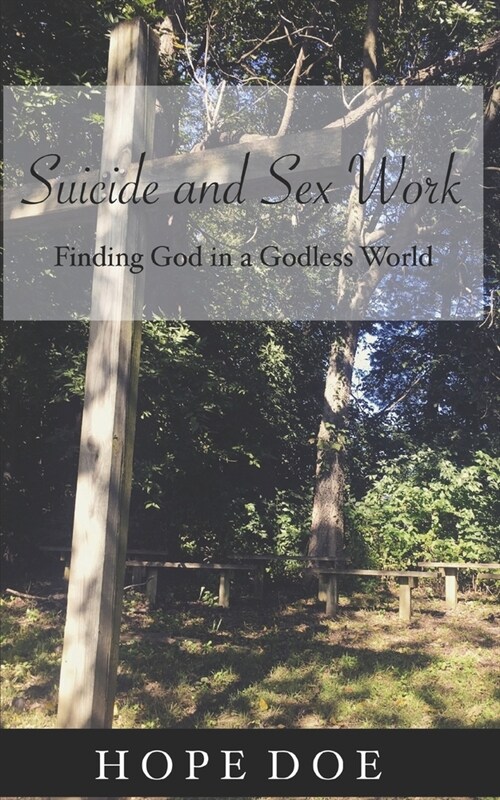 Suicide and Sex Work: Finding God in a Godless World (Paperback)