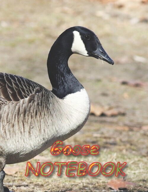 Goose NOTEBOOK: Notebooks and Journals 110 pages (8.5x11) (Paperback)