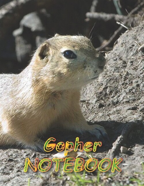 Gopher NOTEBOOK: Notebooks and Journals 110 pages (8.5x11) (Paperback)