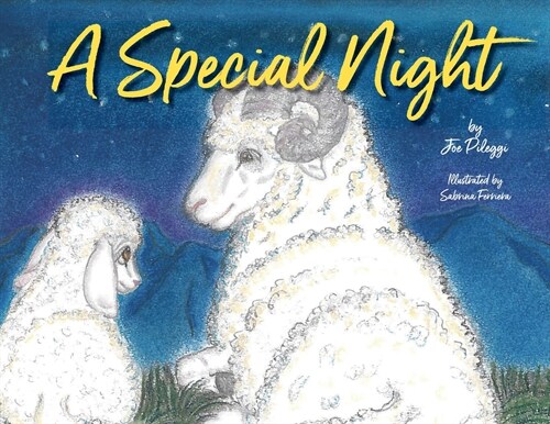 A Special Night (Paperback)