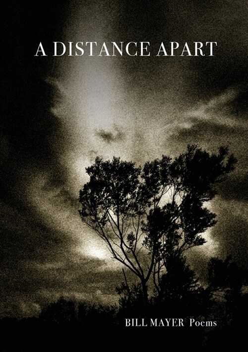 A Distance Apart: Poems (Paperback)