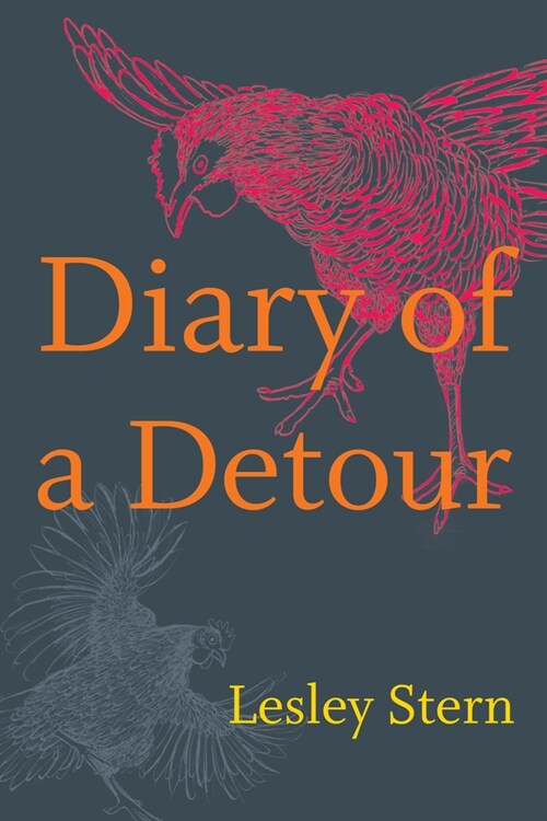 Diary of a Detour (Hardcover)