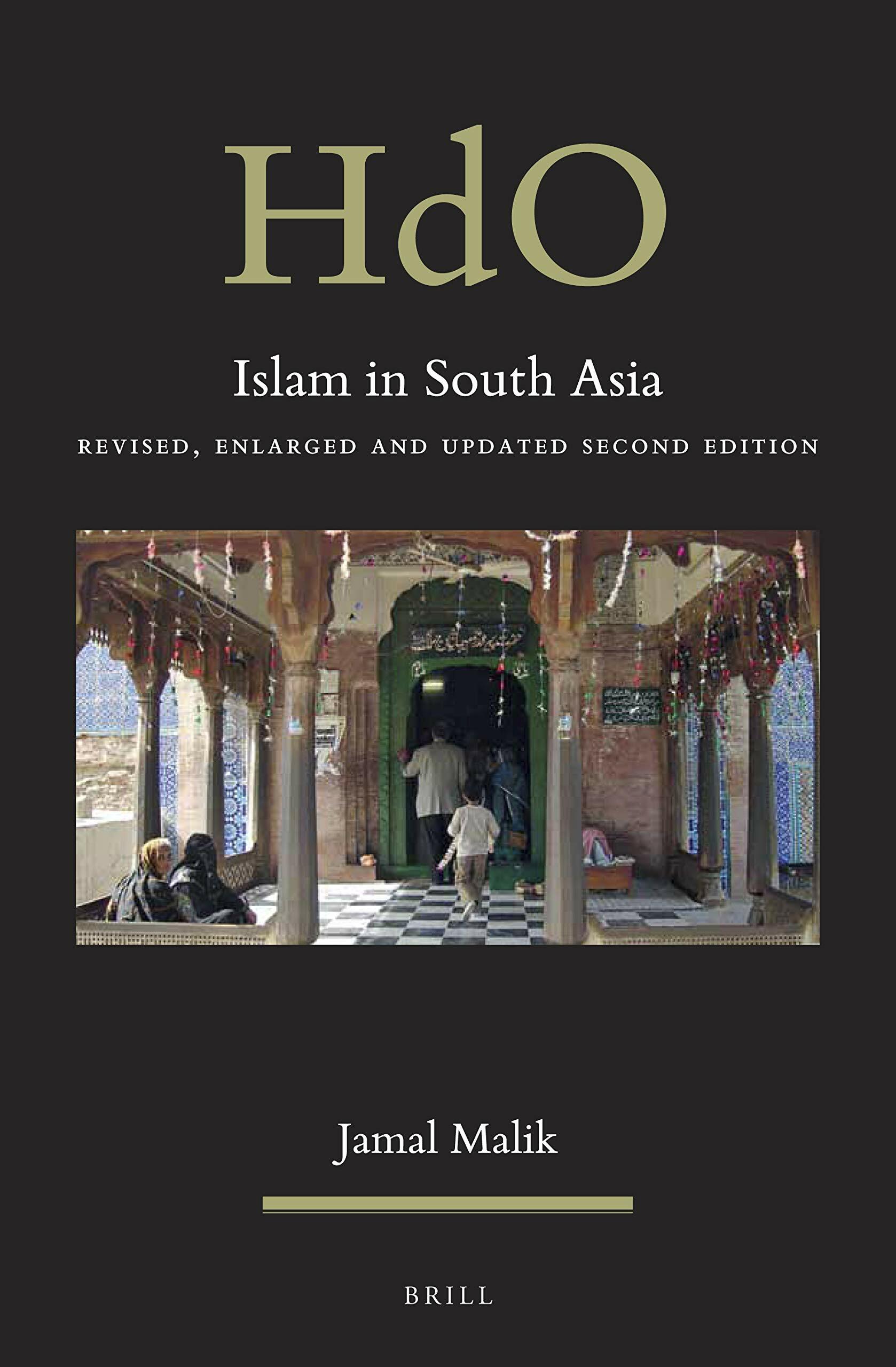 Islam in South Asia: Revised, Enlarged and Updated Second Edition (Hardcover, 2)