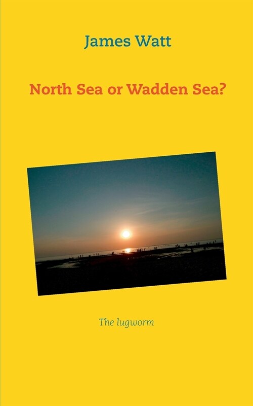 North Sea or Wadden Sea?: The lugworm (Paperback)