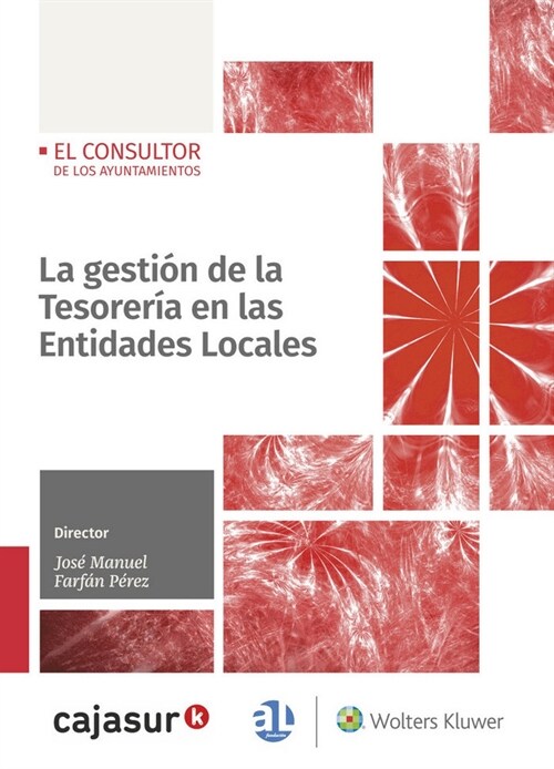 GESTION DE LA TESORERIA EN LAS ENTIDADES LOCALES,LA (Book)