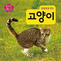 살금살금 걷는 고양이 