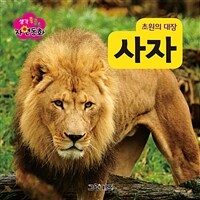 초원의 대장 사자 