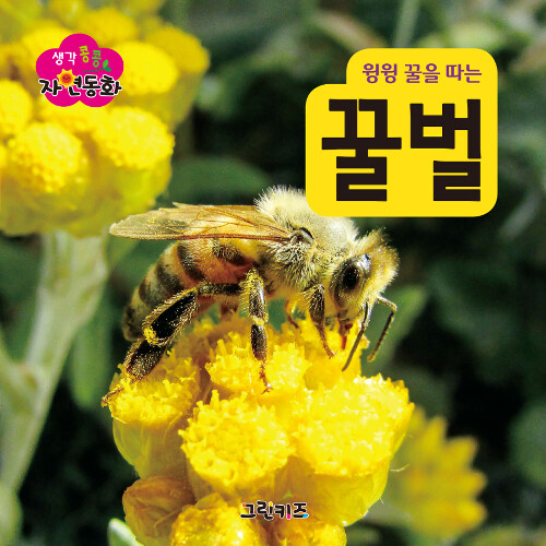 [중고] 꿀벌