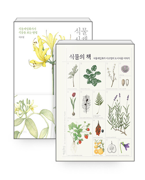 [세트] 식물의 책 + 식물 산책 - 전2권