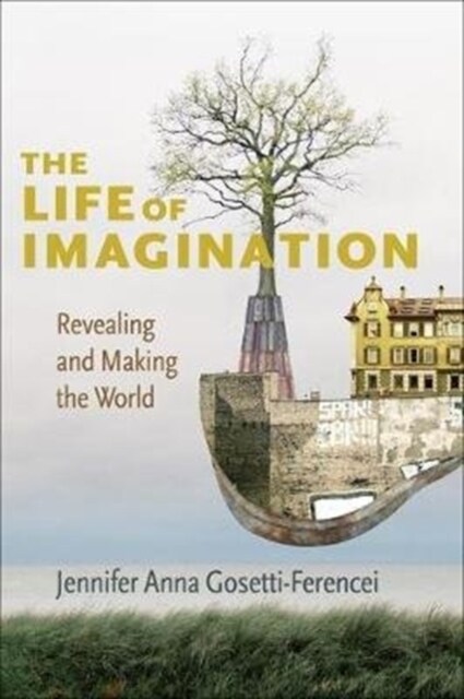 The Life of Imagination: Revealing and Making the World (Paperback)