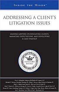 Addressing a Clients Litigation Issues (Paperback)