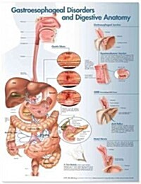 Gastroesophageal Disorders and Digestive Anatomy (Chart, 3rd, Wall)
