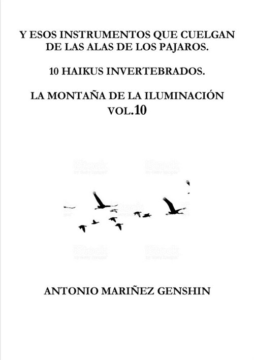 Y Esos Instrumentos Que Cuelgan de Las Alas de Los Pajaros (Paperback)