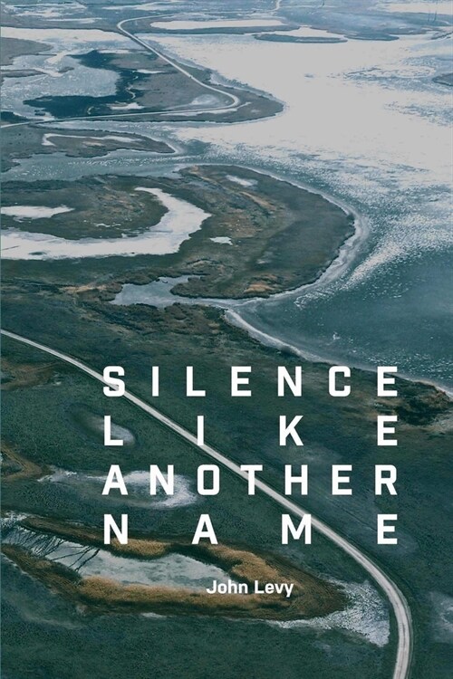 Silence Like Another Name (Paperback)