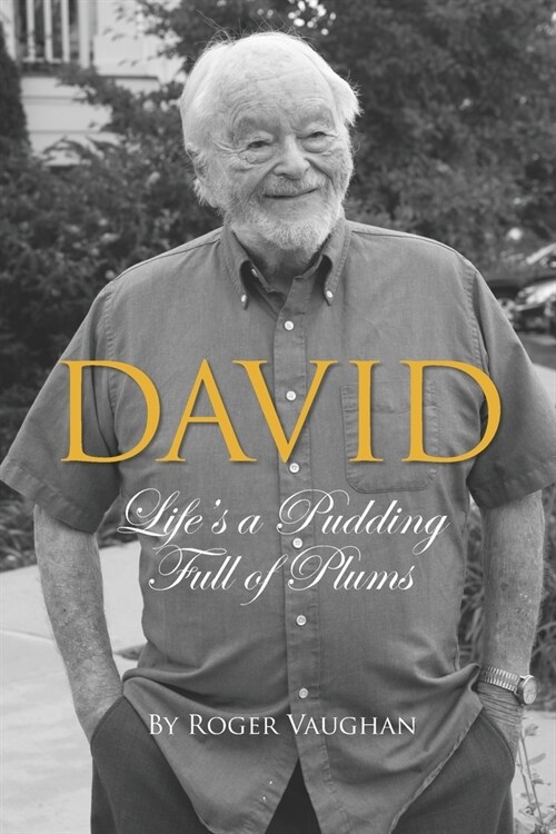 David: Lifes a Pudding Full of Plums (Paperback)