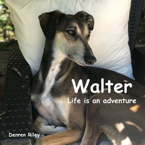 Walter, Life is an adventure (Paperback)