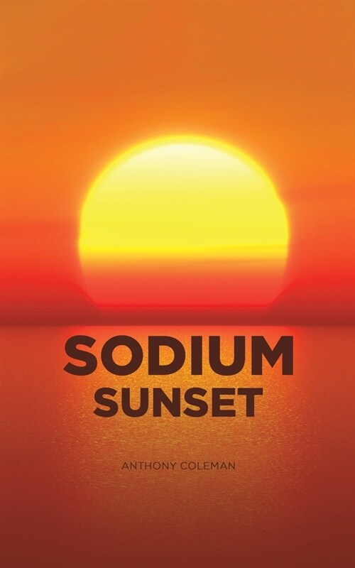 Sodium Sunset (Paperback)