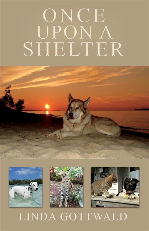 Once Upon a Shelter: Volume 1 (Paperback)