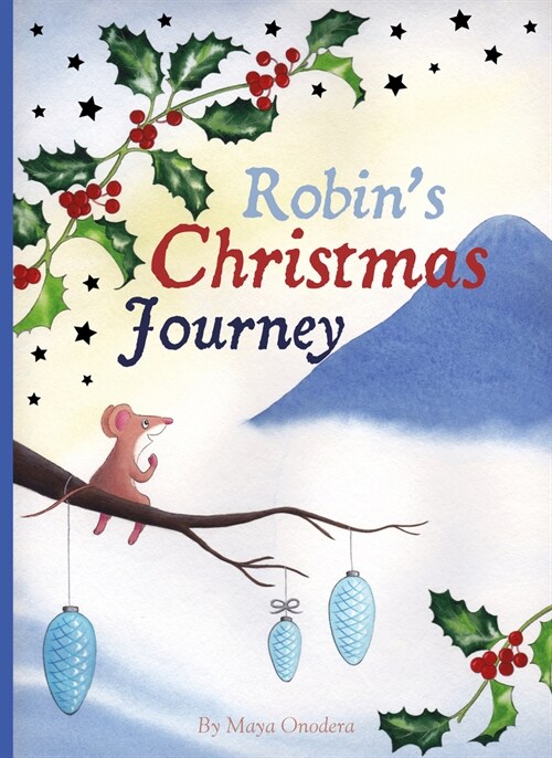 Robins Christmas Journey (Hardcover)