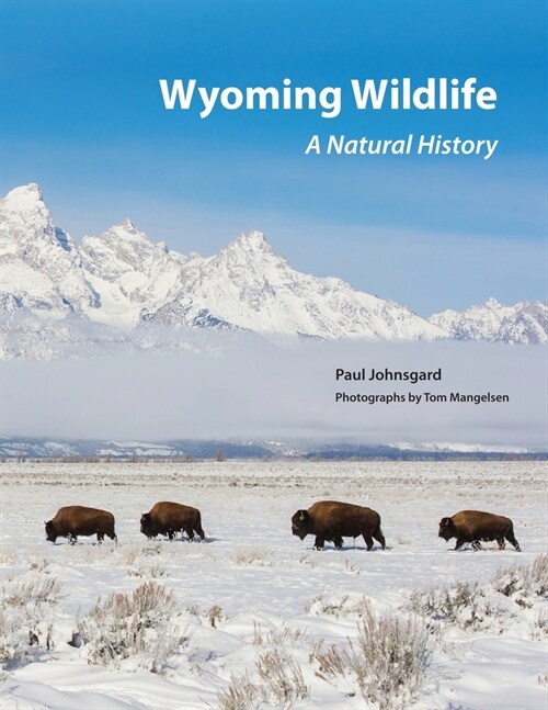 Wyoming Wildlife: A Natural History (Paperback)