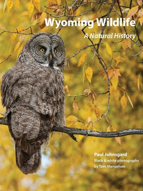 Wyoming Wildlife: A Natural History (Black & white edition) (Paperback)