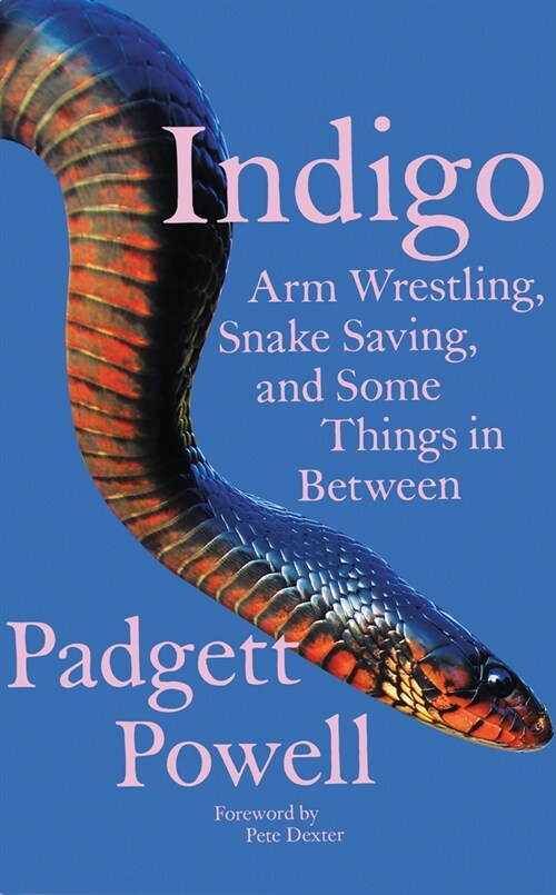 Indigo: Arm Wrestling, Snake Saving, and Some Things in Between (Paperback)