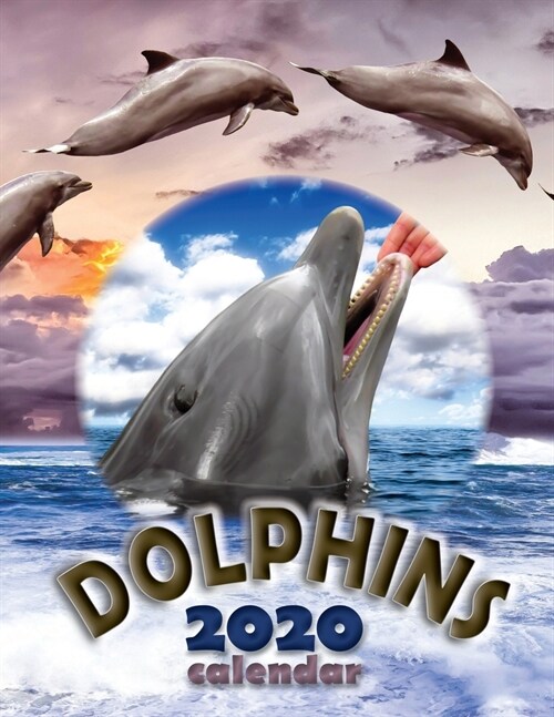 Dolphins 2020 Calendar (Paperback)