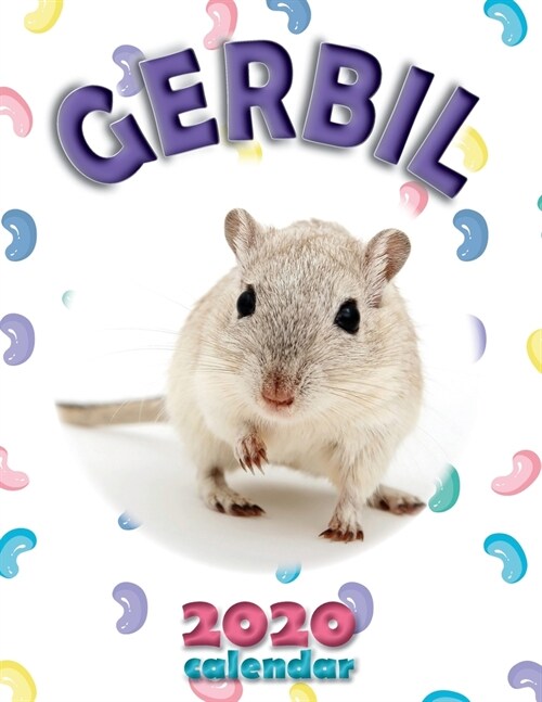 Gerbil 2020 Calendar (Paperback)