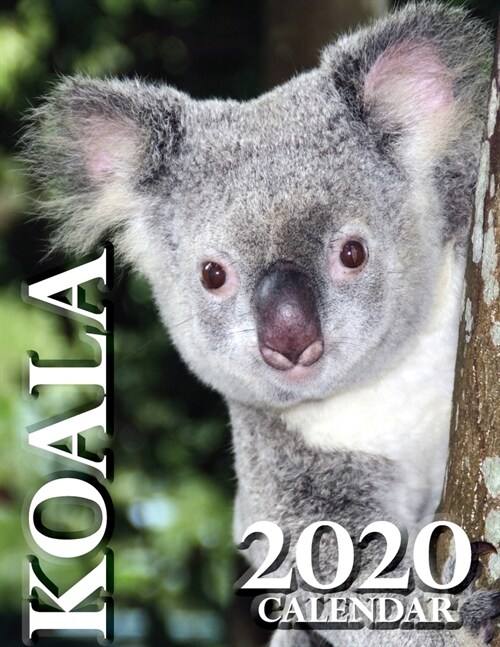 Koala 2020 Calendar (Paperback)