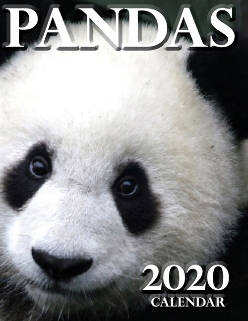 Pandas 2020 Calendar (Paperback)