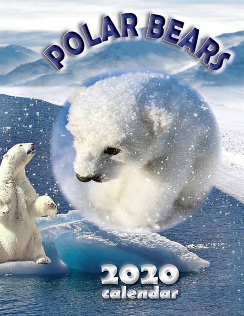 Polar Bears 2020 Calendar (Paperback)