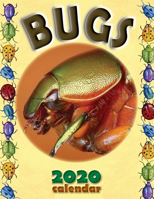 Bugs 2020 Calendar (Paperback)