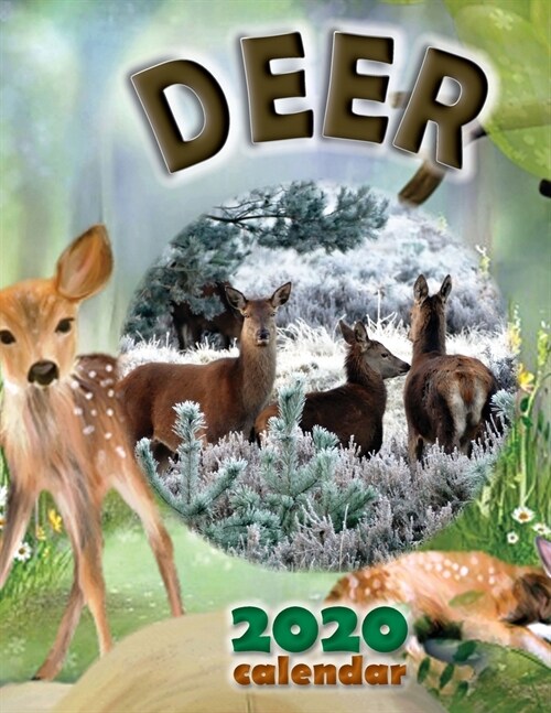 Deer 2020 Calendar (Paperback)