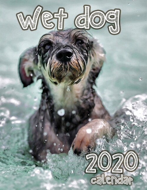Wet Dog 2020 Calendar (Paperback)