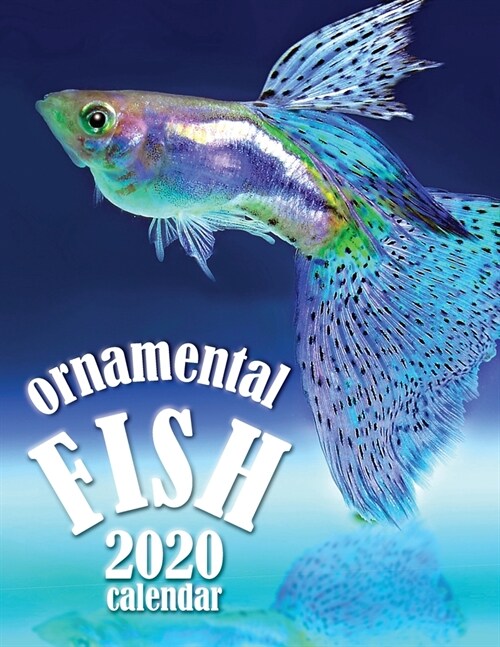 Ornamental Fish 2020 Calendar (Paperback)