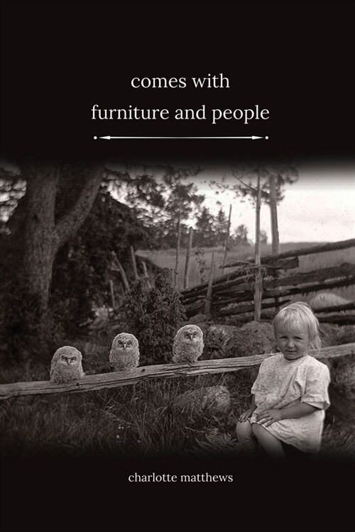 Comes With Furniture and People (Paperback)
