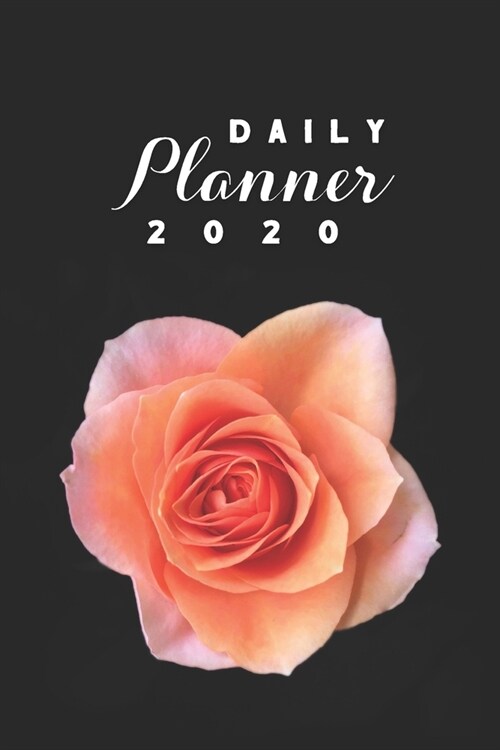 Daily Planner 2020: Orange Rose Flowers Gardening 52 Weeks 365 Day Daily Planner for Year 2020 6x9 Everyday Organizer Monday to Sunday Flo (Paperback)