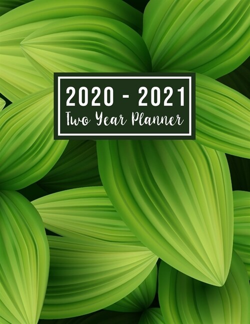 2020-2021 Two Year Planner: 2020-2021 two year planner flower watecolor cover - 2 Year Calendar 2020-2021 Monthly - 24 Months Agenda Planner with (Paperback)