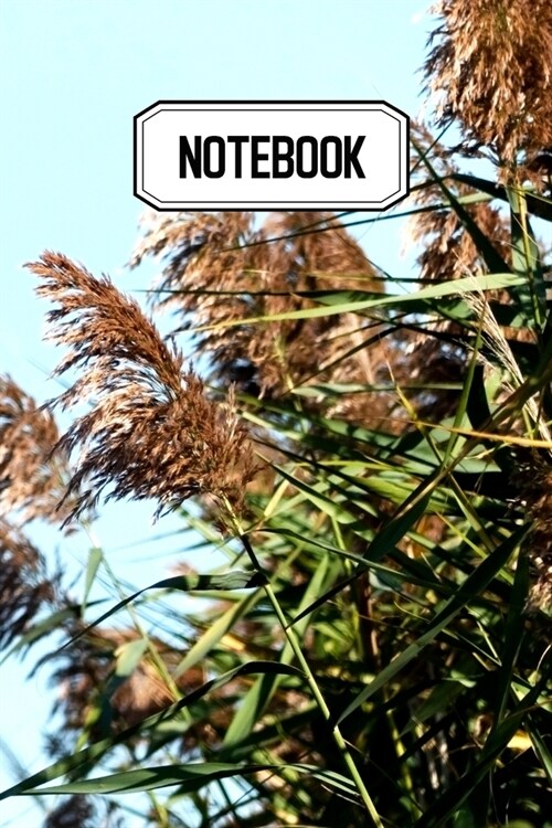 Notebook: Id?l pour vos prises de notes, votre carnet vous permettra de ne rien oublier - Original & pratique de 110 pages lign (Paperback)