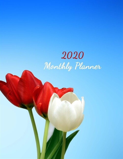 2020 Monthly Planner: A Monthly Planner for 2020 8.5x11 90 page (Paperback)