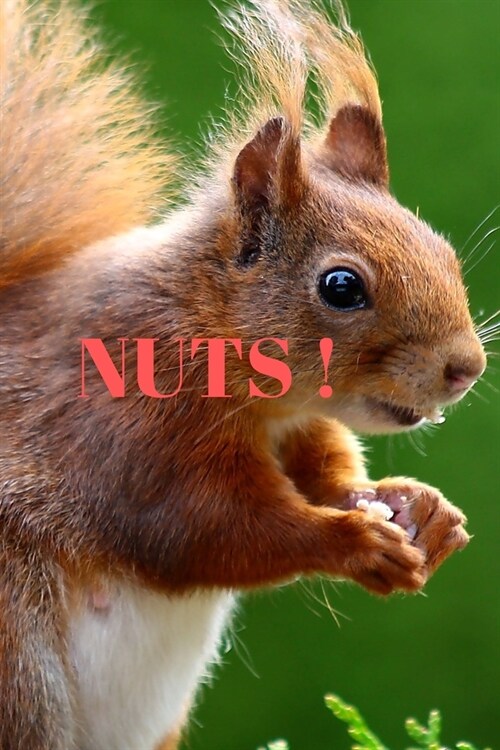 Nuts!: A5 (6 x 9 Inches) Notebook Journal Diary. High Quality Hand Writing Journal with 100 Pages (Paperback)