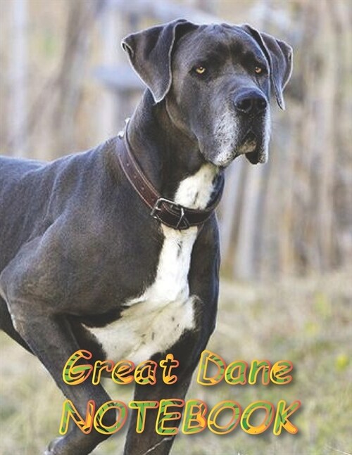 Great Dane NOTEBOOK: Notebooks and Journals 110 pages (8.5x11) (Paperback)