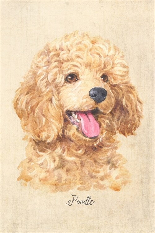 Poodle Dog Portrait Notebook: Blank Dot Grid Journal for Dog Lovers, Dog Mom, Dog Dad and Pet Owners - 6x9 - 5MM Dot Grid Pages (Paperback)