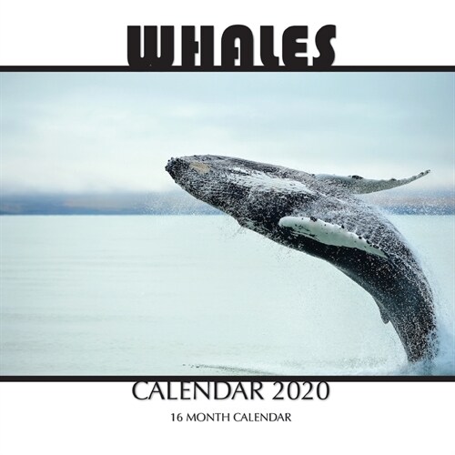 Whales Calendar 2020: 16 Month Calendar (Paperback)