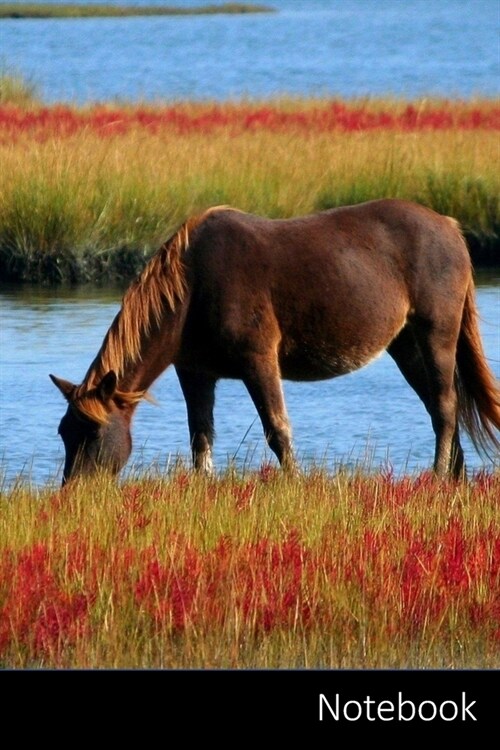 Notebook: Cavallo, Brown, Animale, Mondo Animale taccuino / agenda / quaderno delle annotazioni / diario / libro di scrittura / (Paperback)