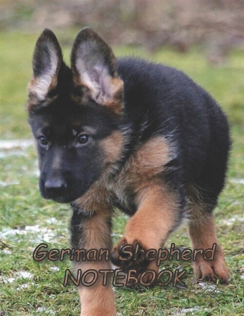 German Shepherd NOTEBOOK: Notebooks and Journals 110 pages (8.5x11) (Paperback)