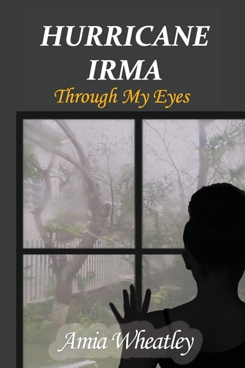 Hurricane Irma Through My Eyes (Paperback)